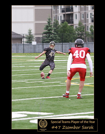 special teams player