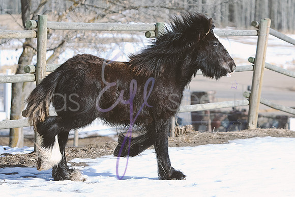 6K8A4262